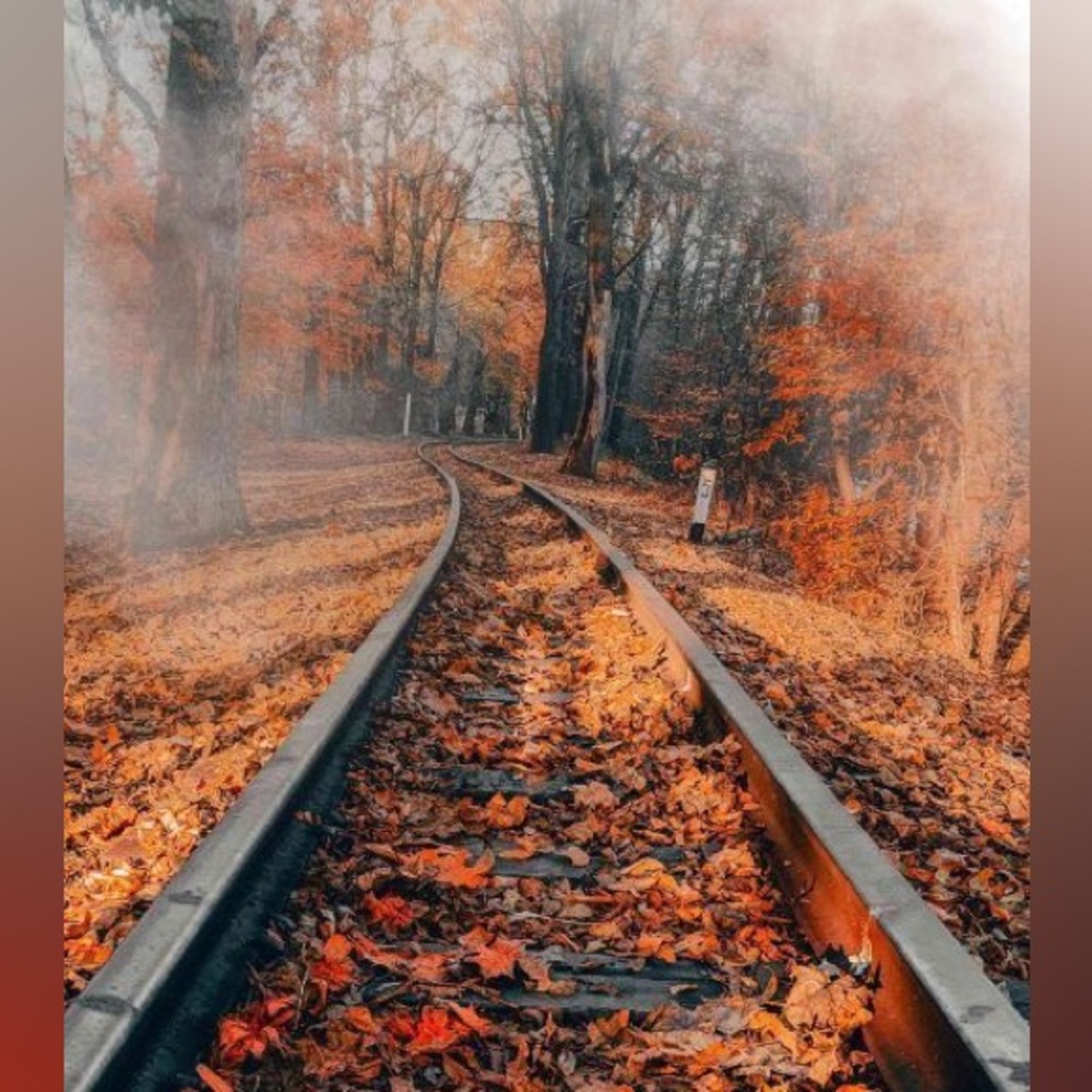 Fall Closet Clear-Out!